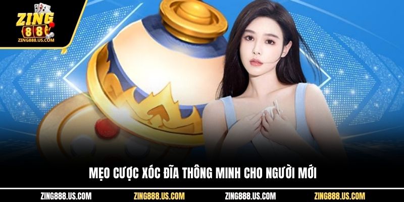 Mẹo cược xóc đĩa thông minh cho người mới